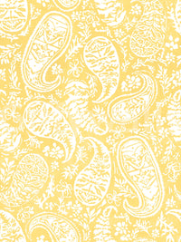 High-resolution floral paisley design.

