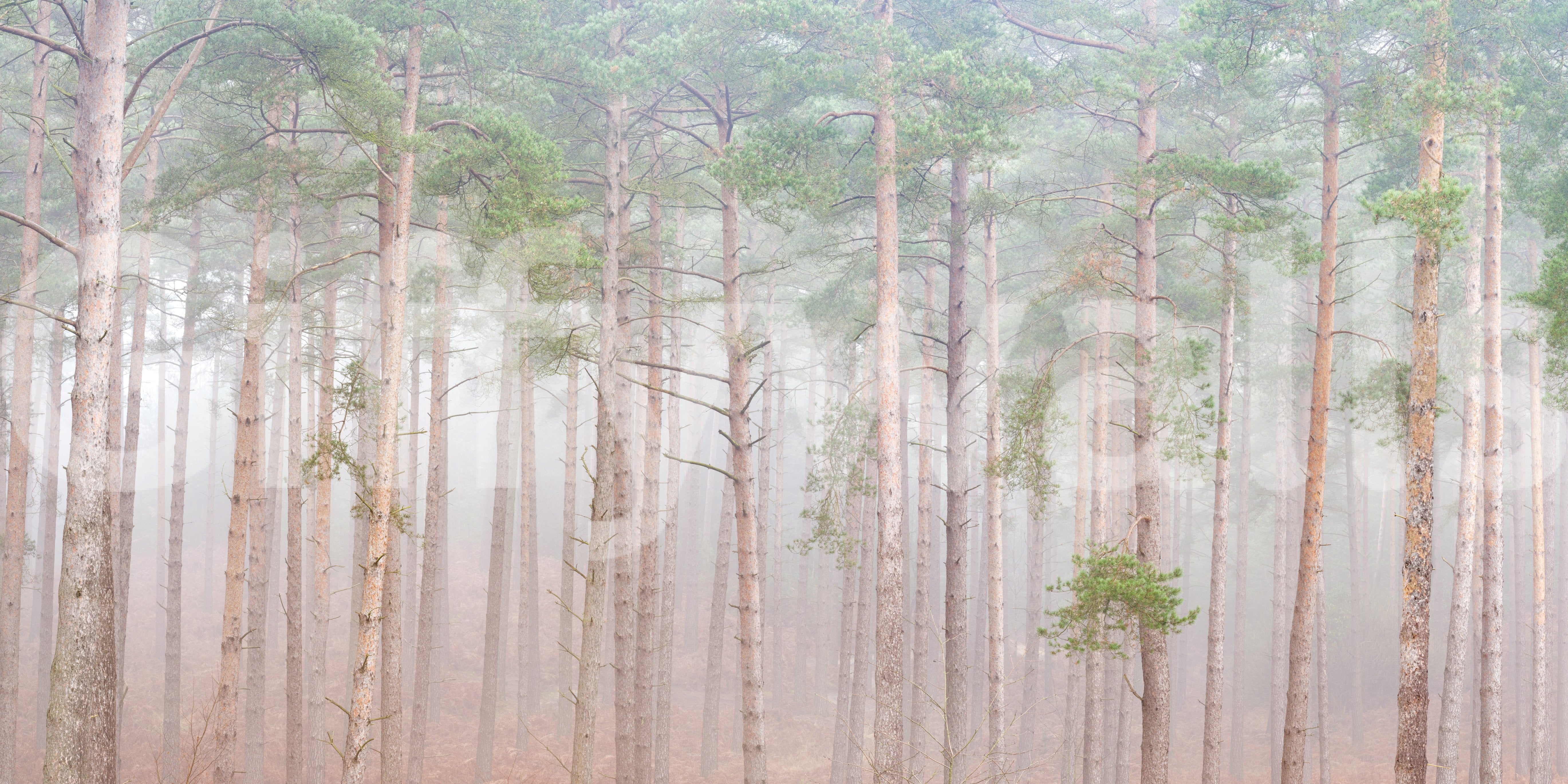 Great for meditation areas.

