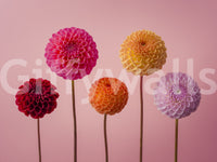 Focus on vibrant colors and floral details.

