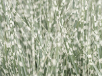 The texture appears realistic, like a high-quality photographic print.
