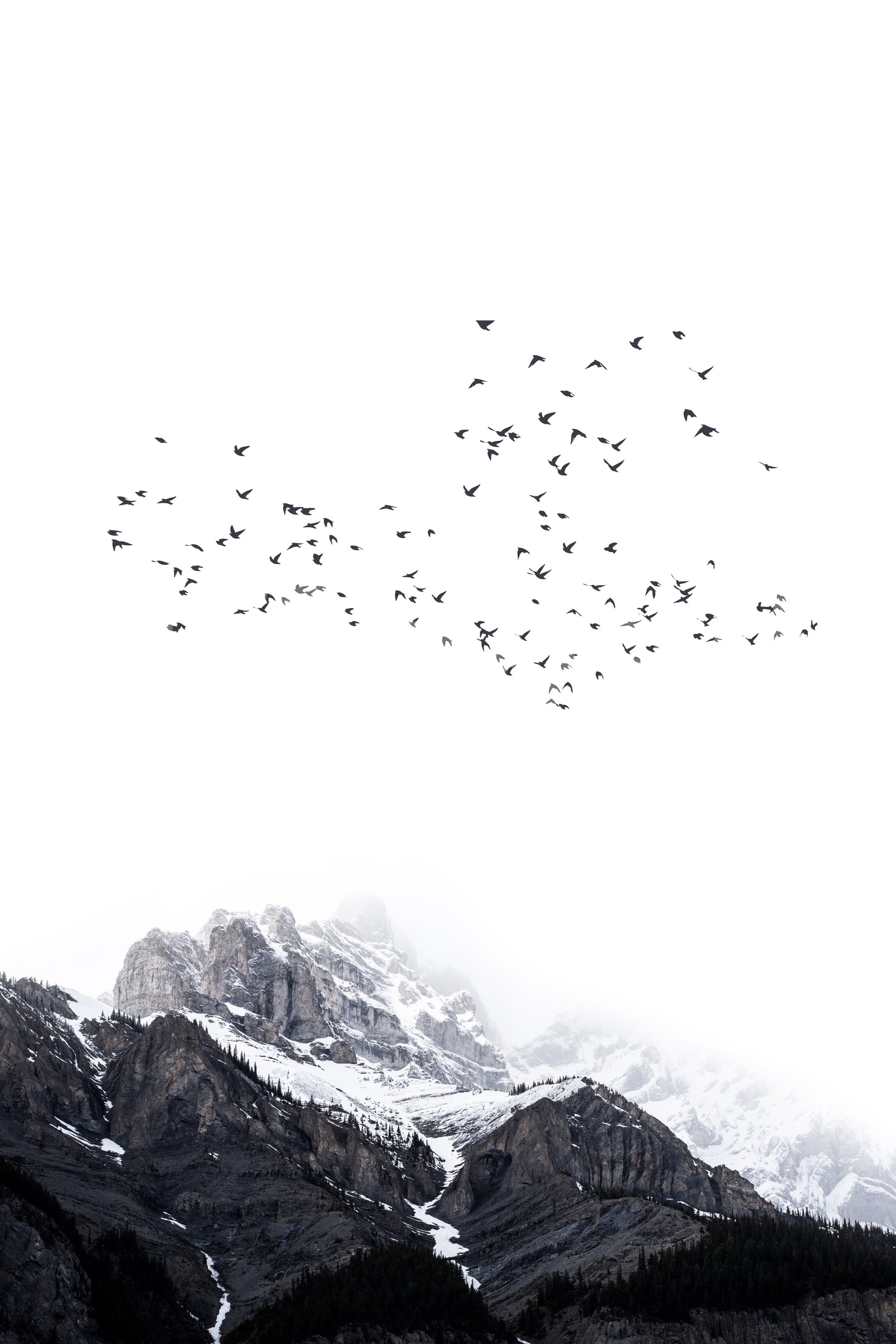 Suitable for a natural, contemporary, or inspirational interior.
