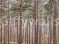 The wallpaper is applied seamlessly, making the view feel realistic.

