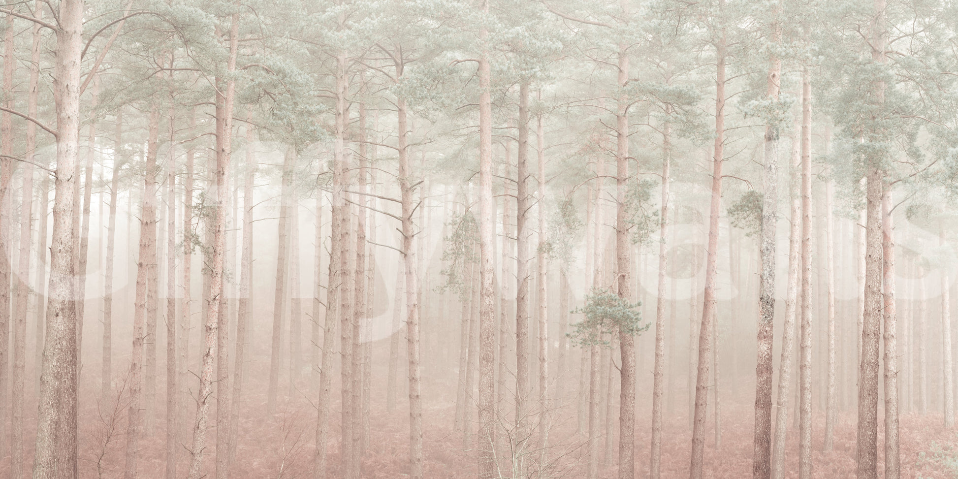 The design is non-realistic and interpretive.

