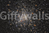 The design is non-realistic and interpretive.

