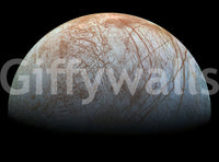 It's a high-quality print with good contrast and texture.
