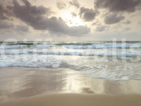 The wallpaper has a smooth, non-reflective matte finish.

