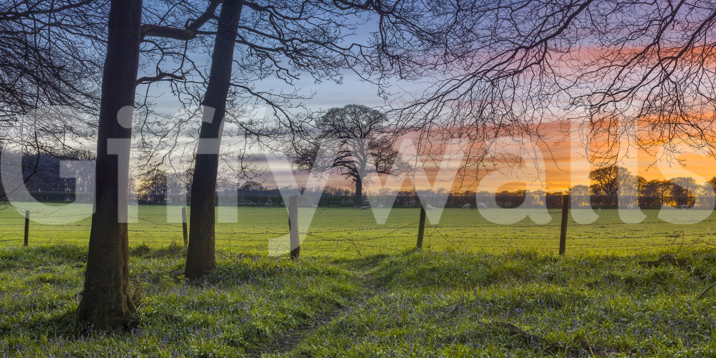 The wallpaper has a smooth, non-reflective matte finish.

