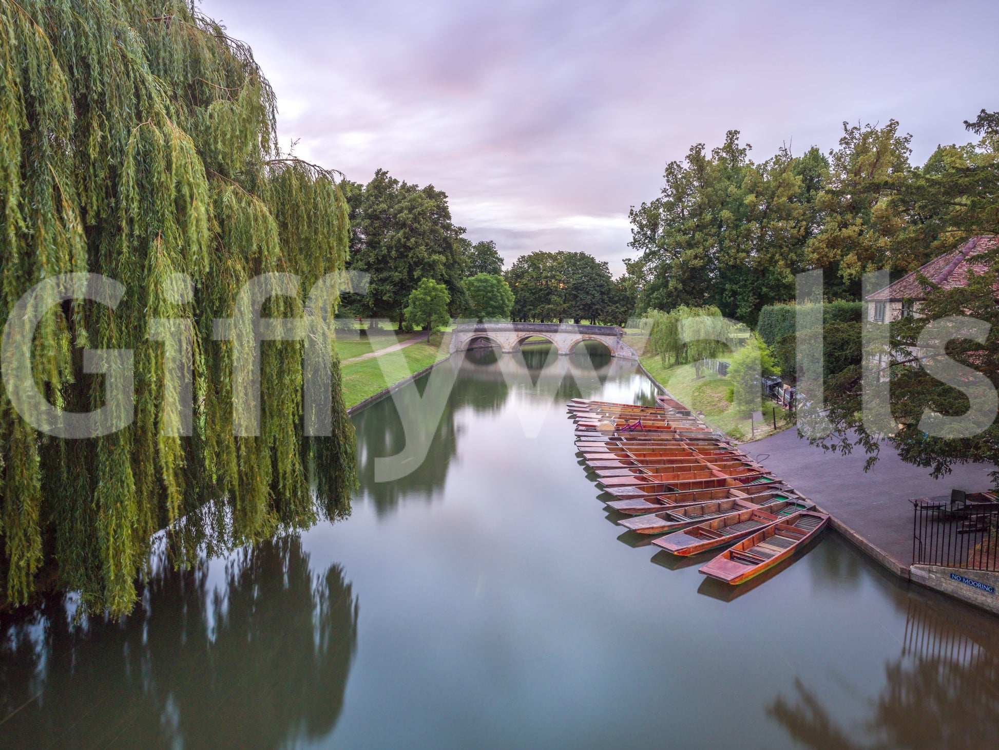 The wallpaper has a smooth, non-reflective matte finish.

