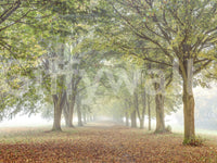 The wallpaper has a smooth, non-reflective matte finish.

