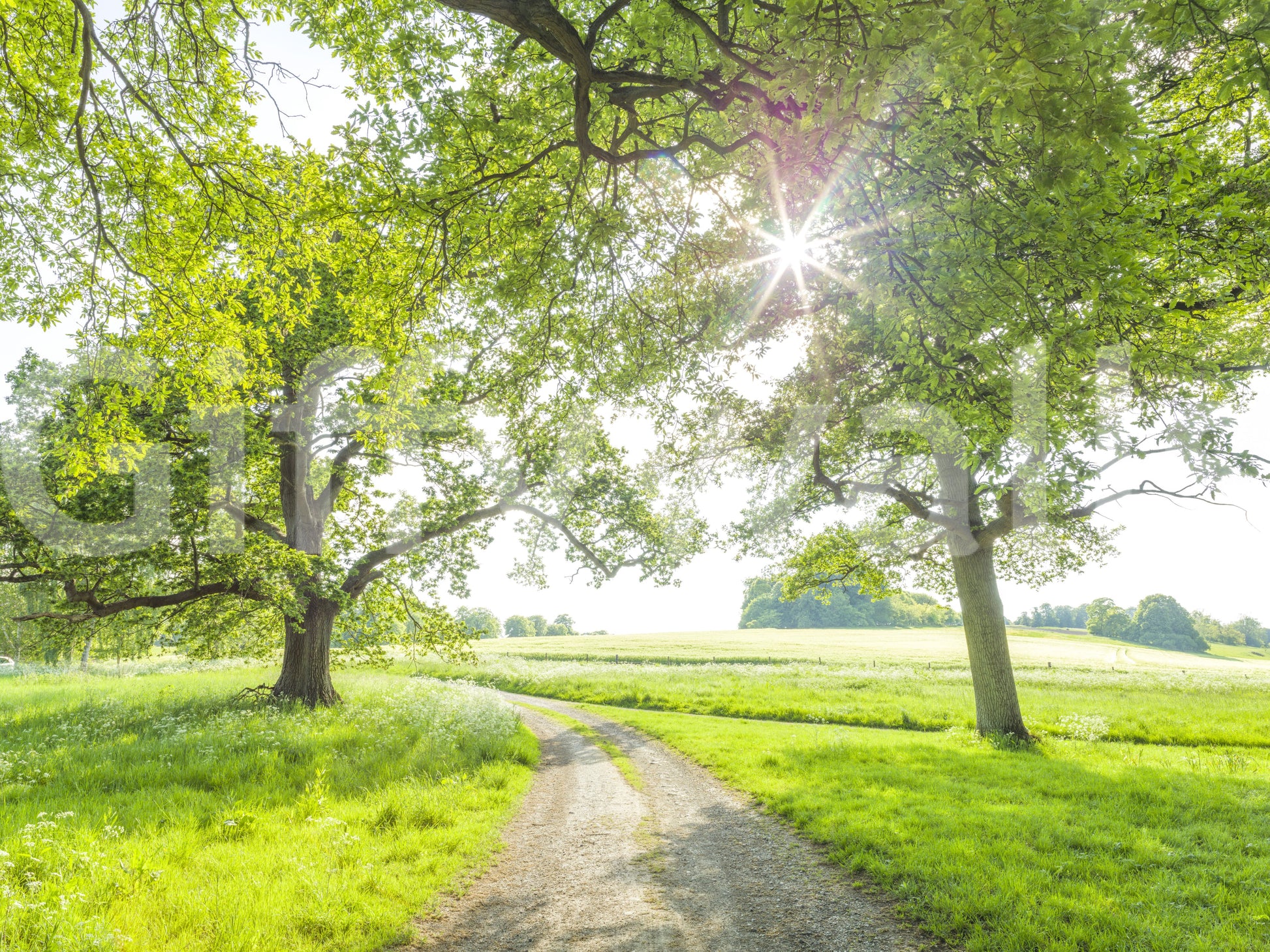 The wallpaper features a subtle, calming pattern.

