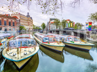 The wallpaper features a subtle, calming pattern.

