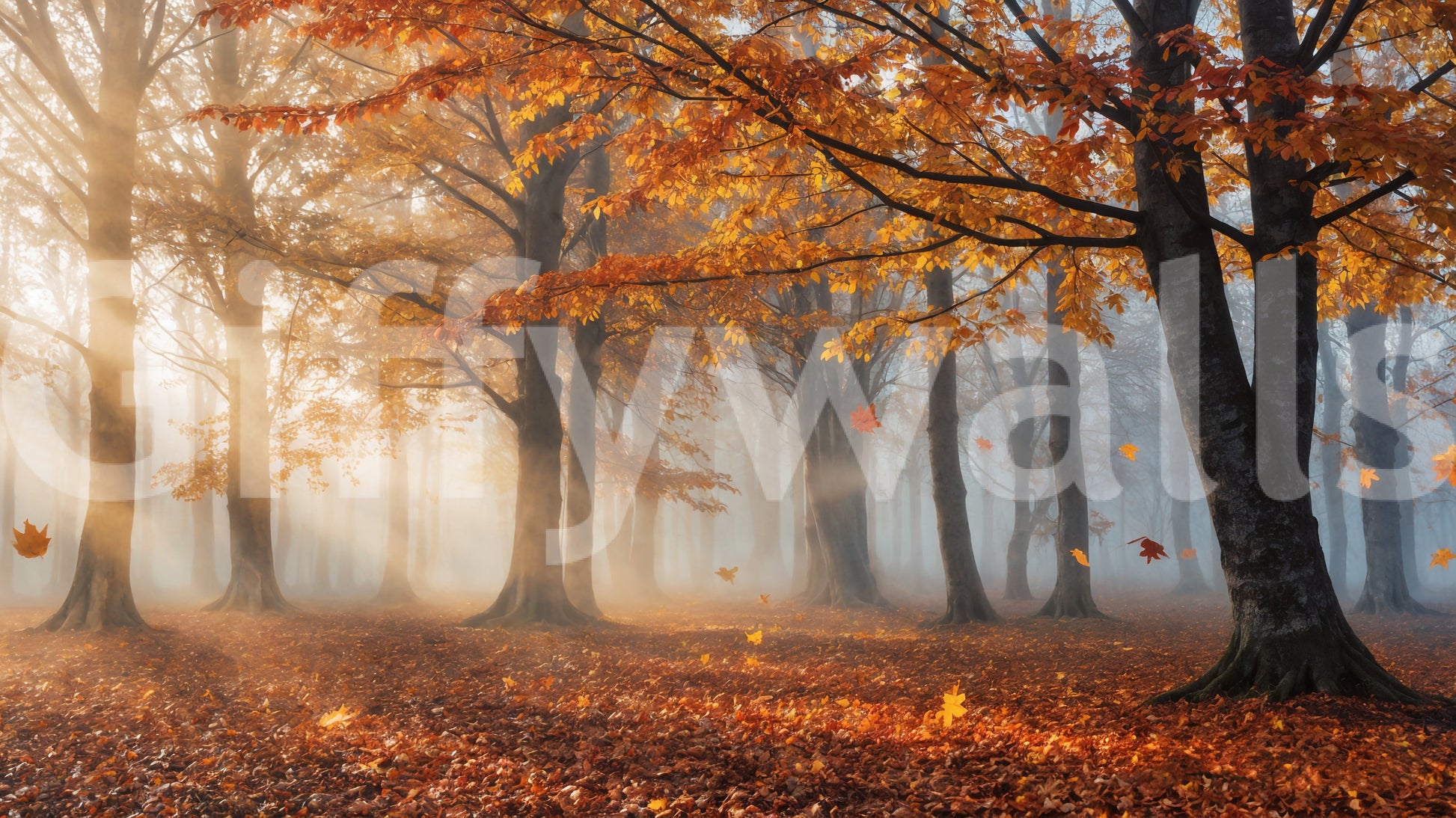 The wallpaper features a subtle, calming pattern.

