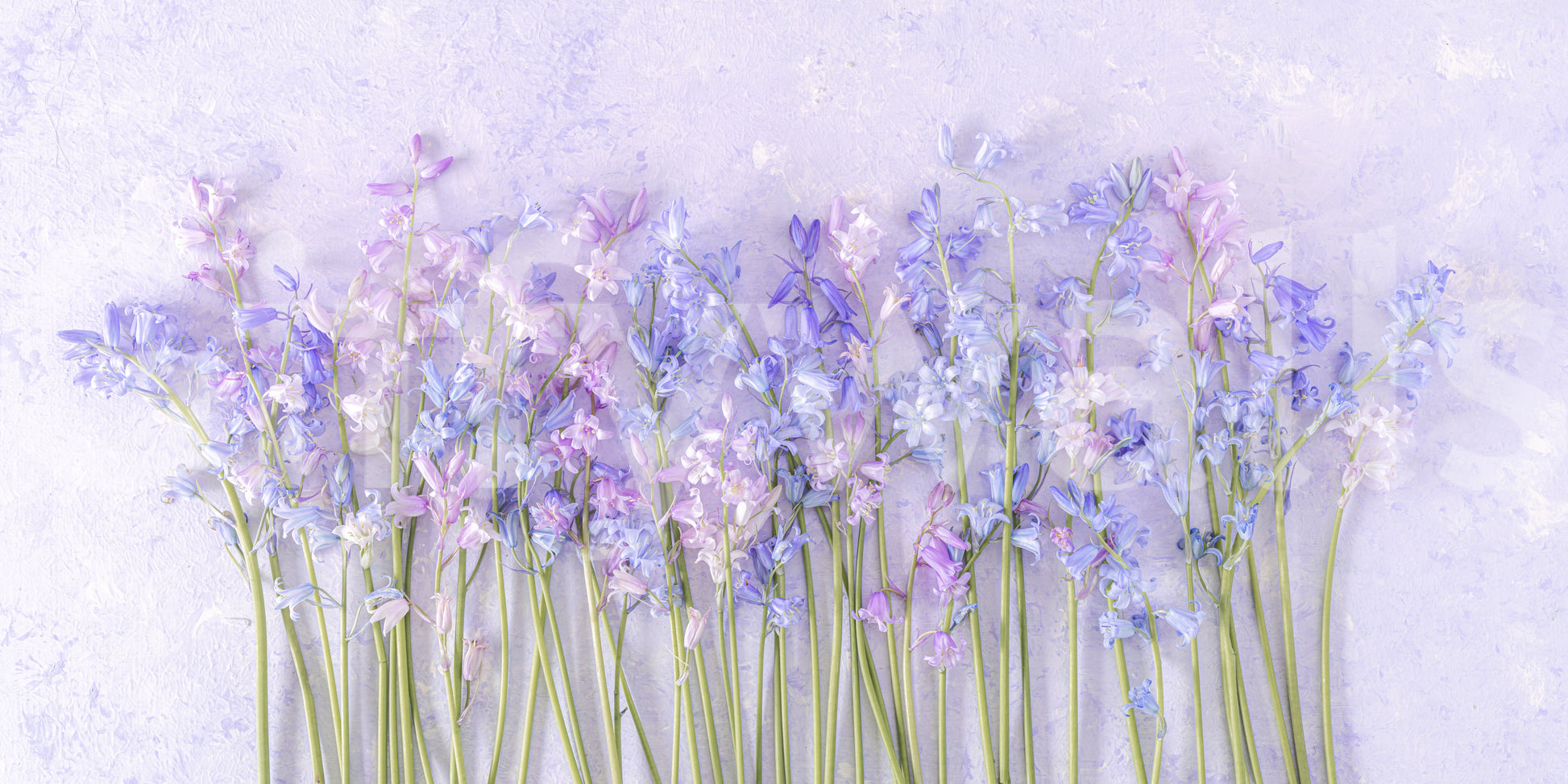 The wallpaper features a subtle, calming pattern.

