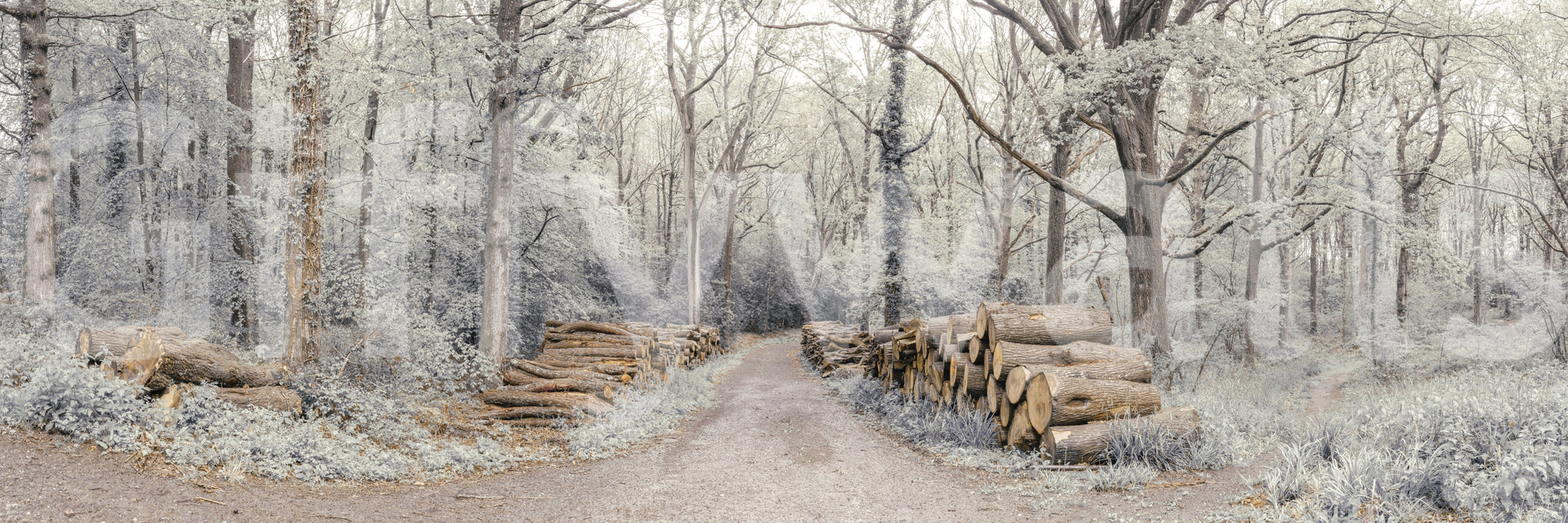 The wallpaper features a subtle, calming pattern.

