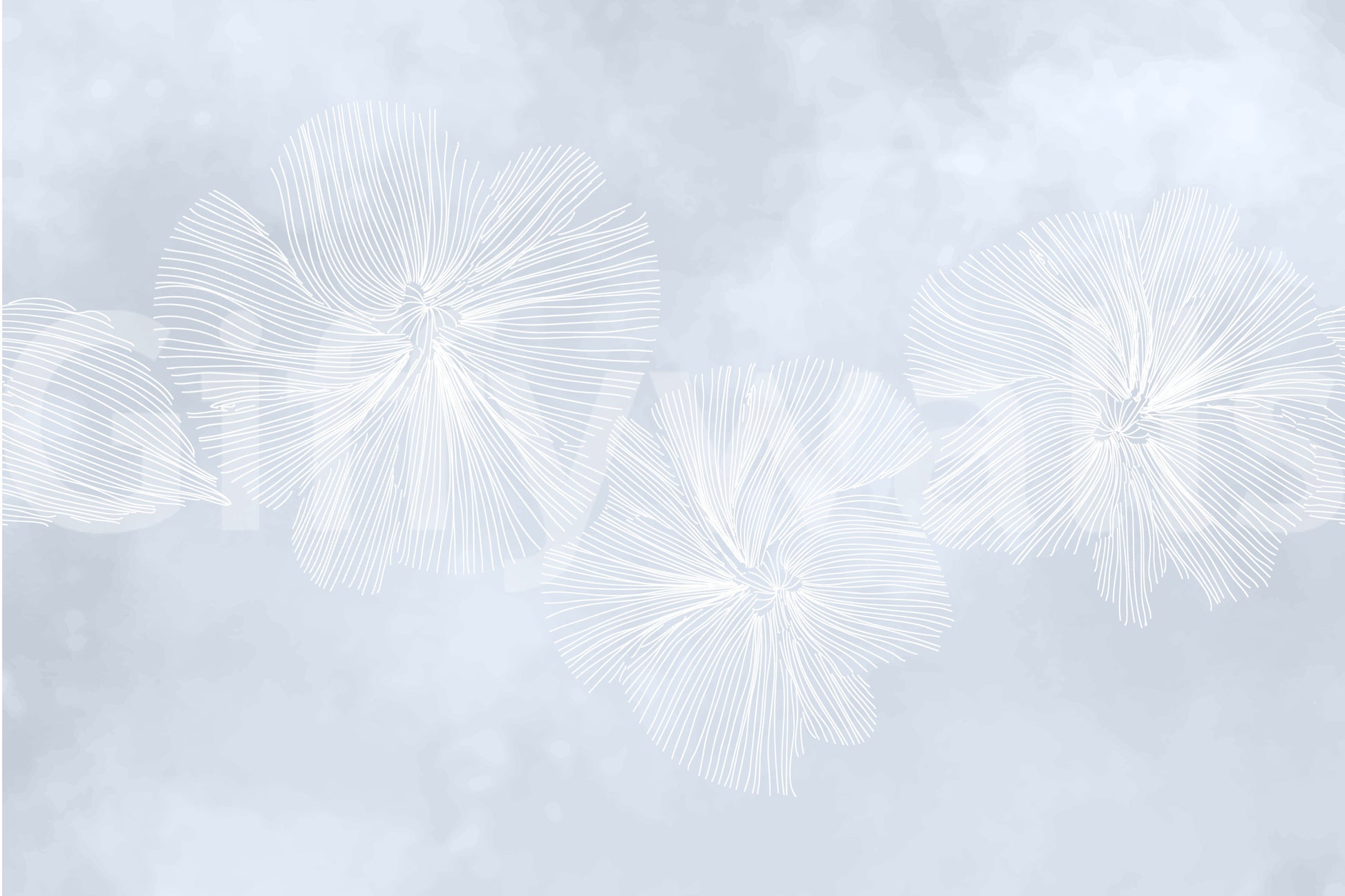 The style is painterly or a soft-focus photograph.