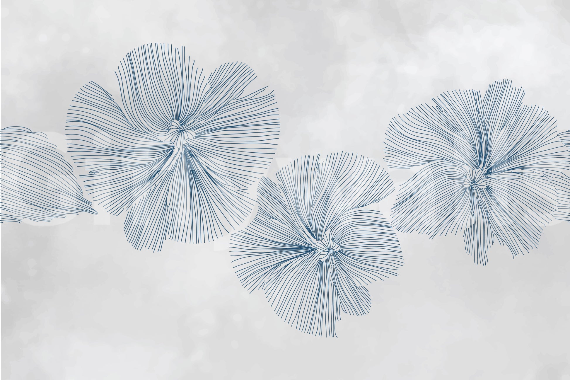 The style is a minimalist, linear illustration.

