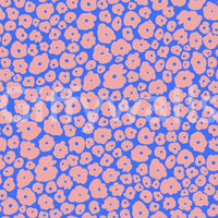 The image provides a sense of quiet beauty and tranquility.
