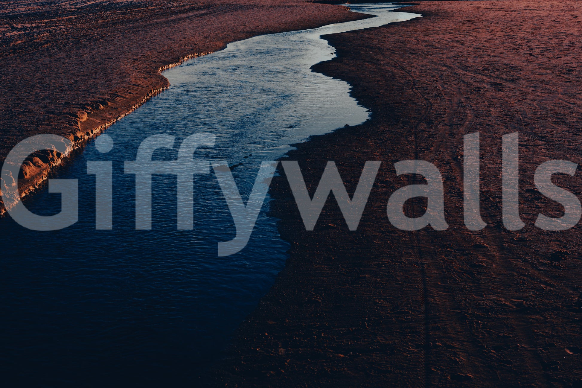 A detail of the brushstrokes and tones in the design.

