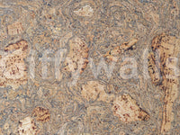 A detail of the warm tones in the bark and grain.