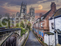 A detail of the architectural lines and tones in the design.