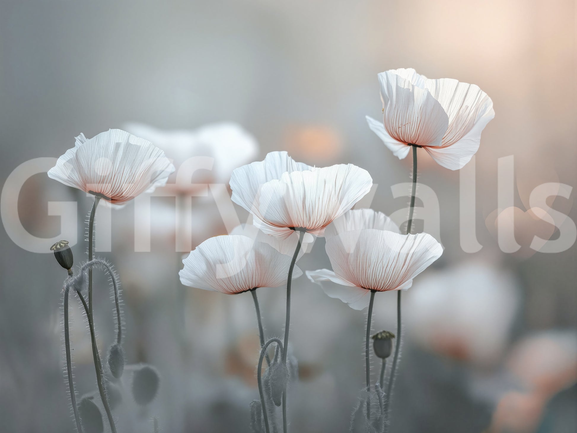 A high-quality serene floral wall mural for walls.

