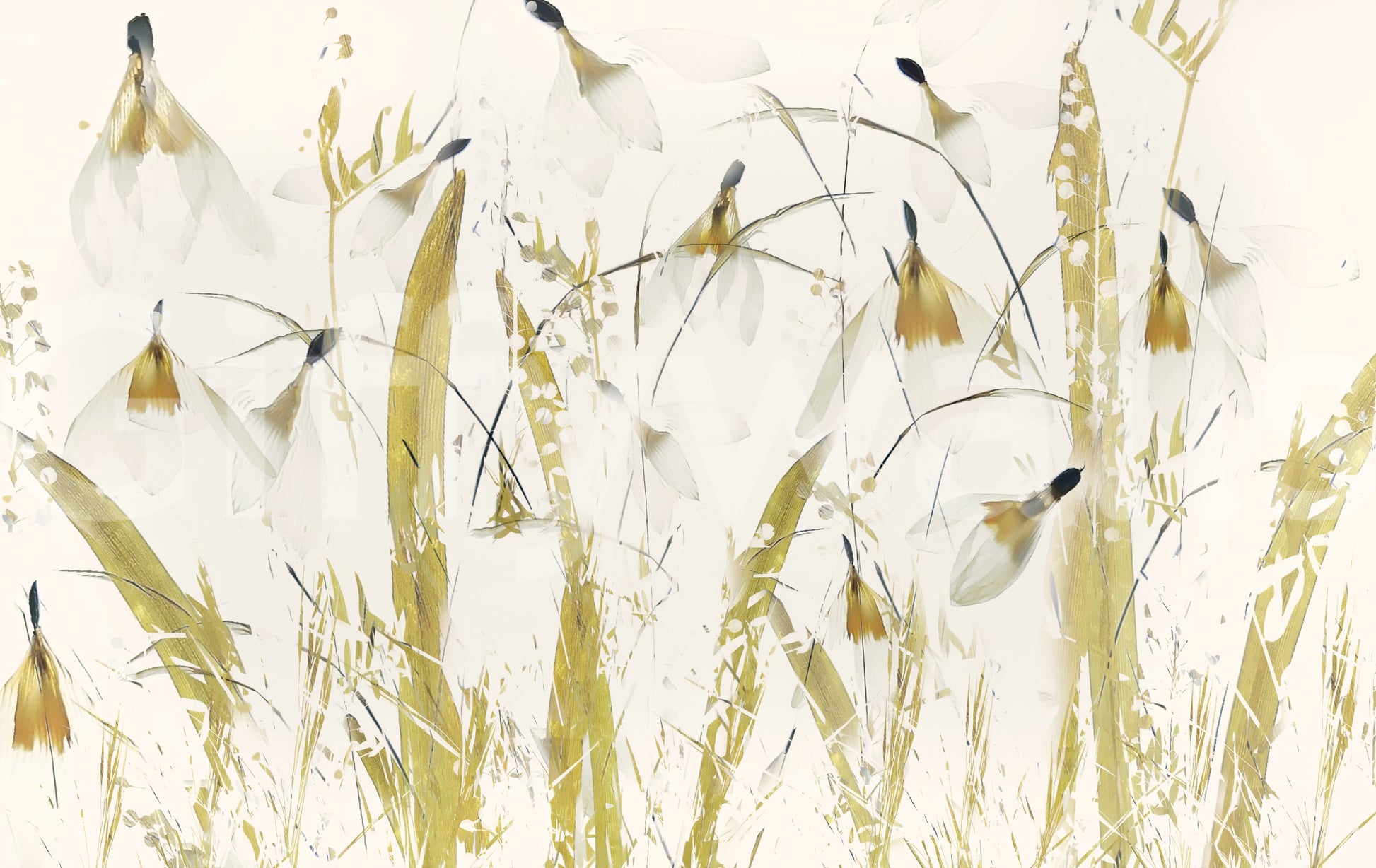 A high-quality serene minimalist wall mural for walls.

