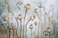A high-quality serene plant wall mural for walls.

