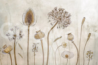 A high-quality serene flower wall mural for walls.

