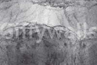 A high-quality serene gray wall mural for walls.