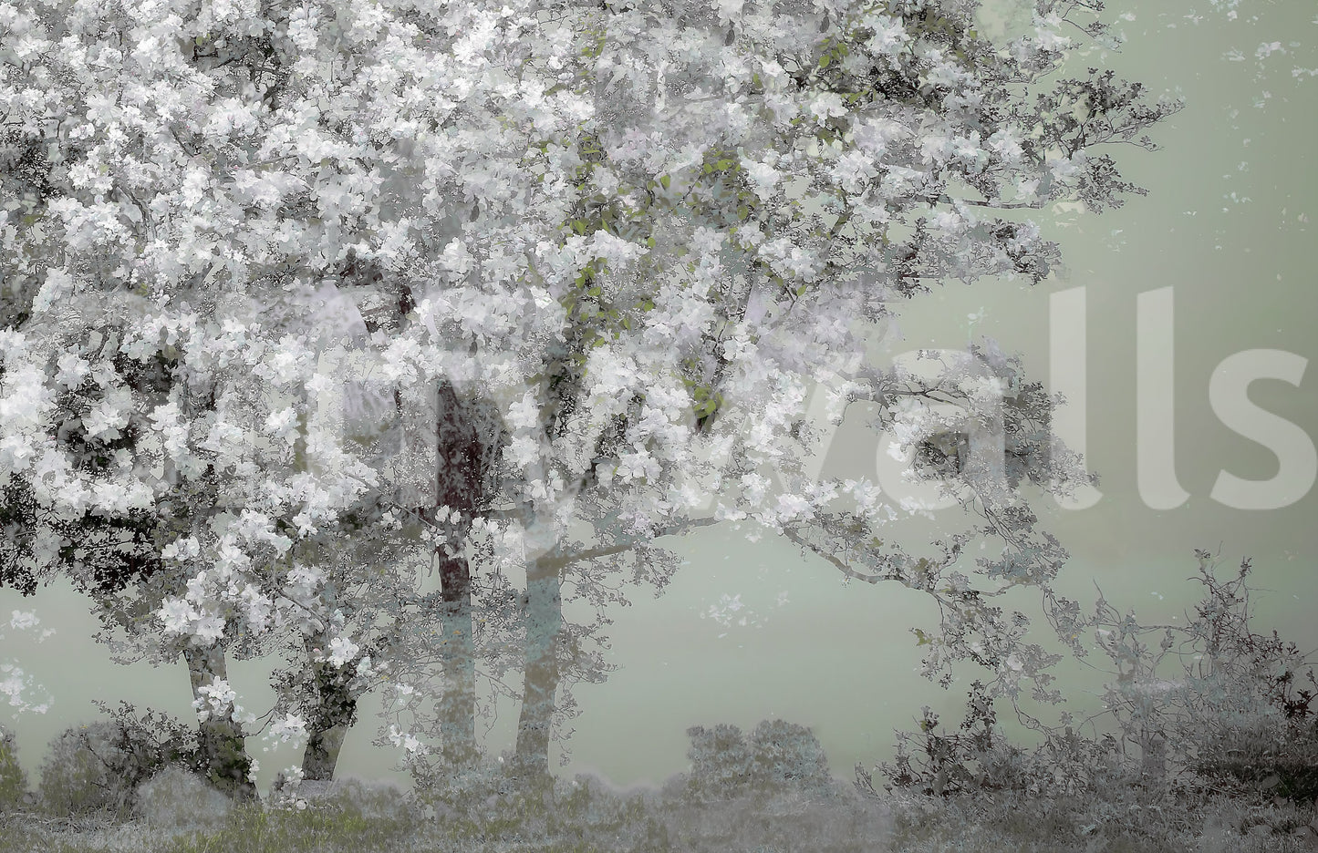 Floral Canopy Serenity Wall Mural -1518414