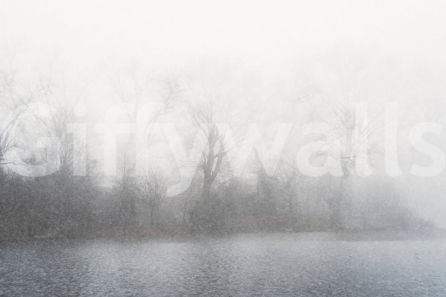 Misty Lake's Edge Wall Mural