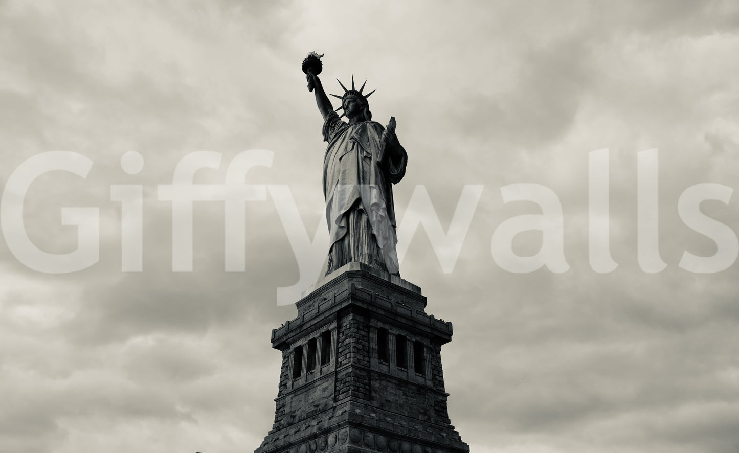 Liberty's Monochrome Gaze Wall Mural