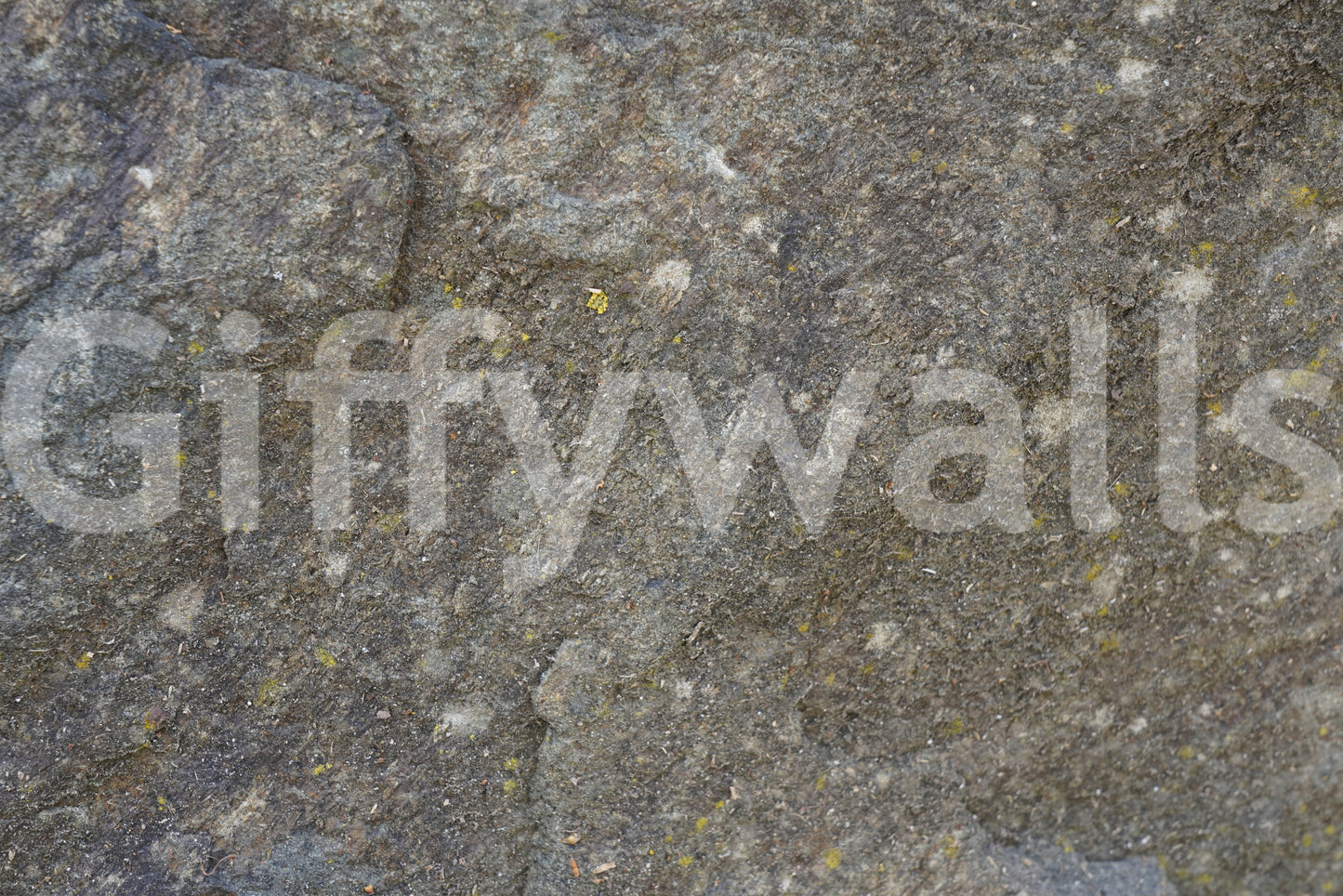 Textured Rock Surface Wall Mural -2566614