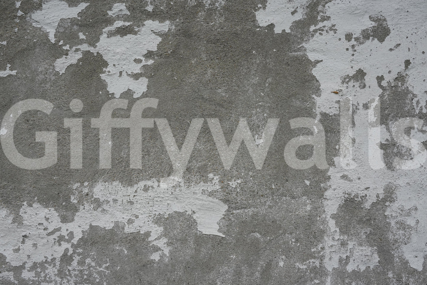 Distressed Concrete Wall Mural -2566584