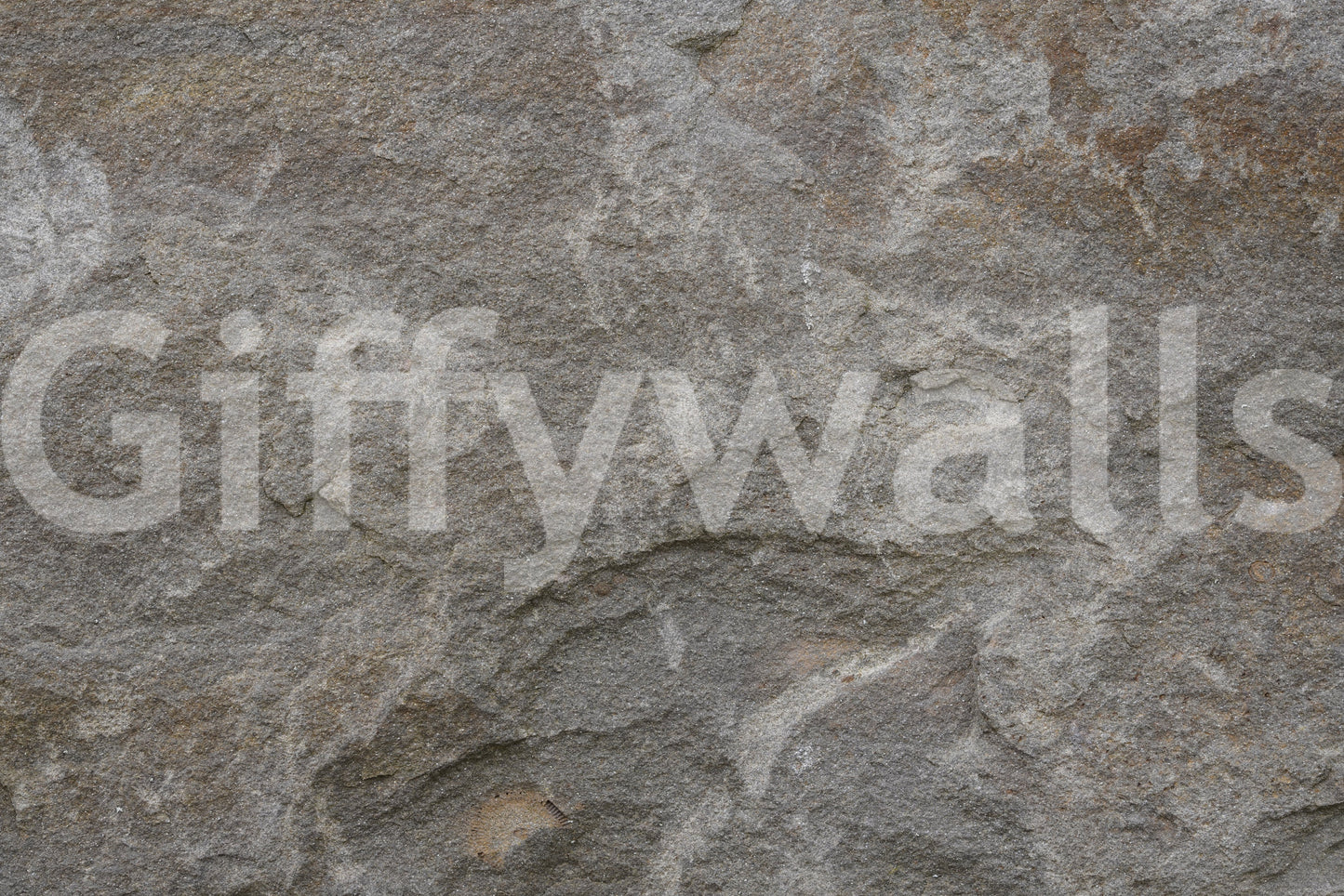 Stone Whispers Wall Mural -2566631