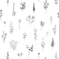 Clean and subtle floral artwork showcasing sketched blooms and foliage across a light background
