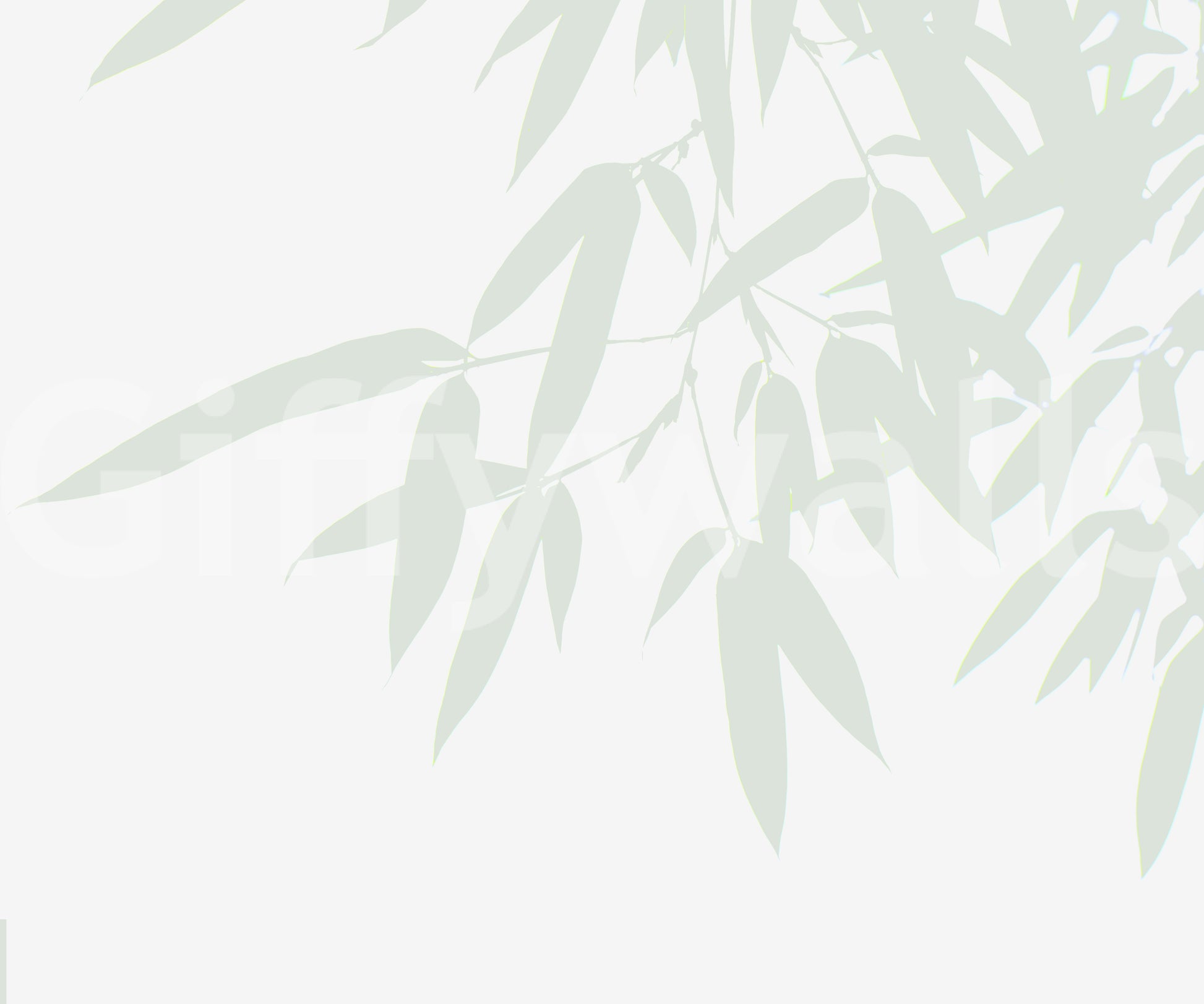 A modern botanical wallpaper featuring subtle bamboo leaf forms for a fresh, airy feel.