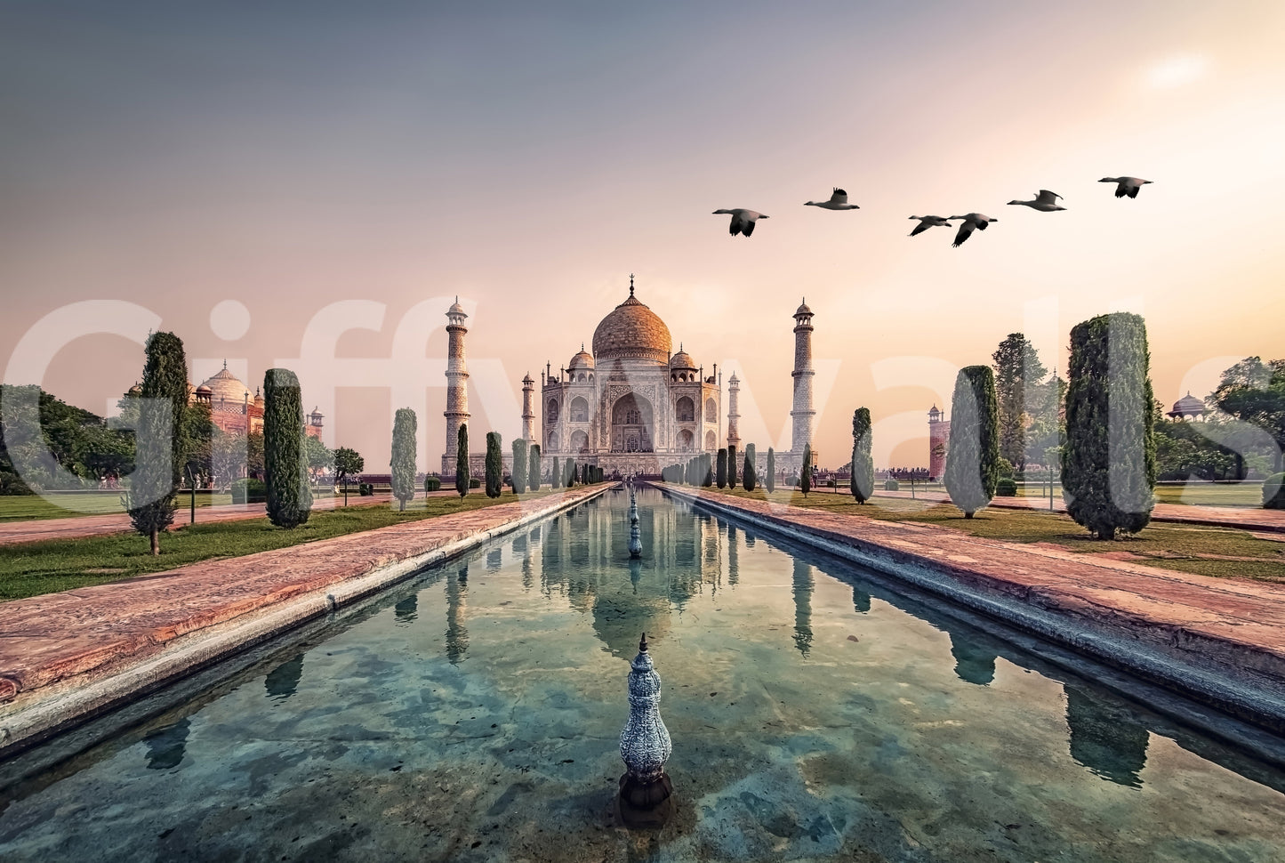 India's Taj Mahal: A Timeless Wonder Wall Mural