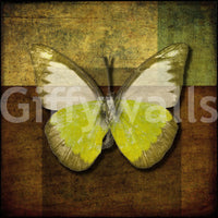 Captivating Butterfly Hues mural yellow and white wings textured paper.