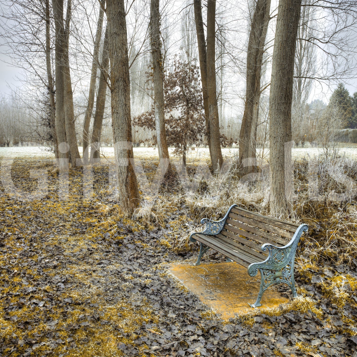 Melancholy park fixture wall mural, late autumn atmosphere.