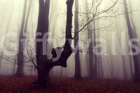 Wondrous forest wall mural, heavy fog, spindly branches, unique art.