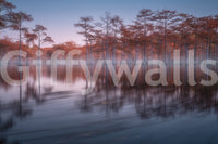 Romantic lakeside forest wallpaper with hazy horizon and floating mist layers.