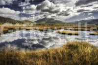 Rustic meadow reflected wall mural, bright sky, serene design.