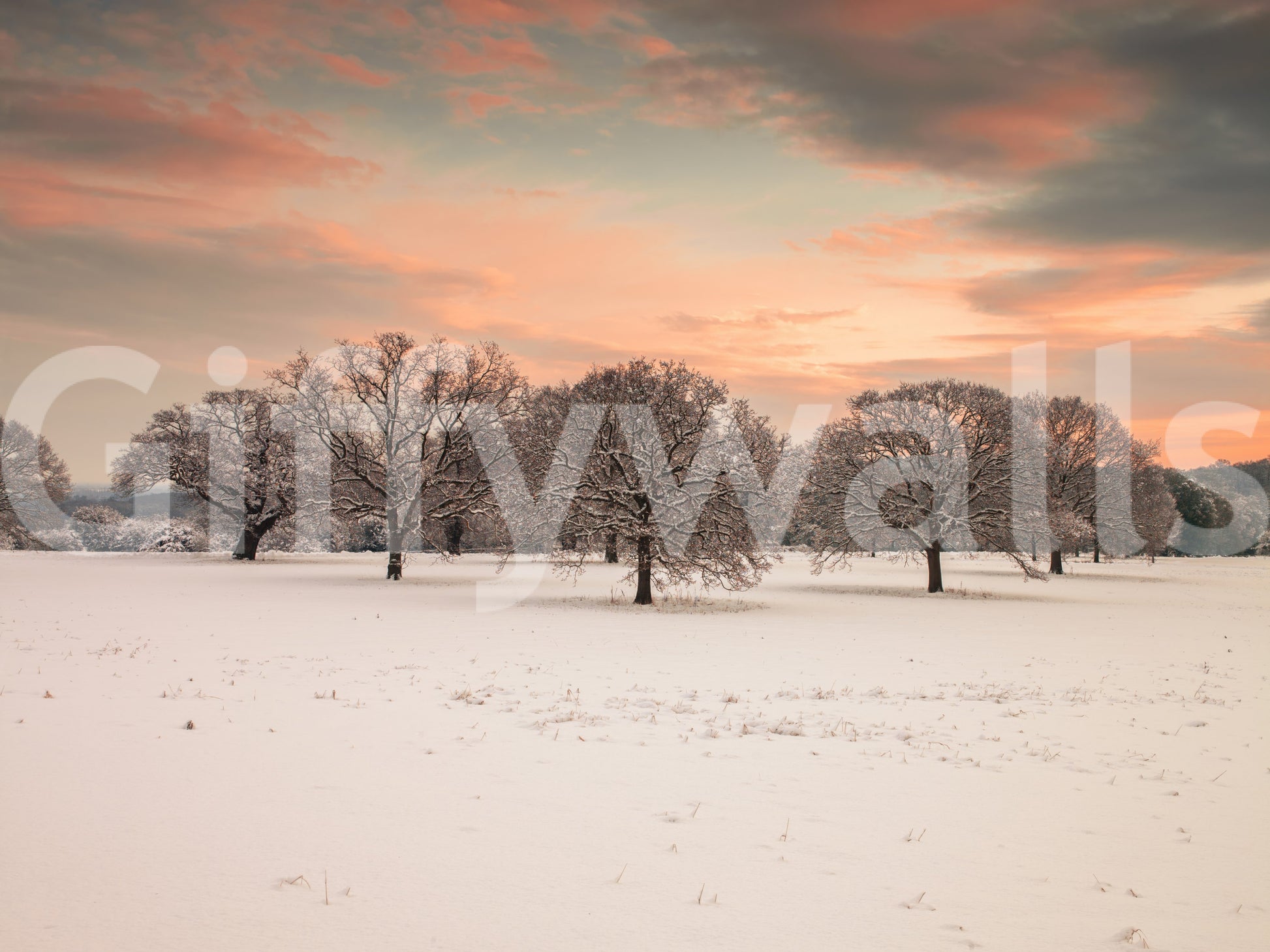 Dreamy Snow Covered Field wall wrap, frozen meadow, snow-dusted branches.
