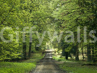 Escape into the woods with the Flourishing Path wall mural design.