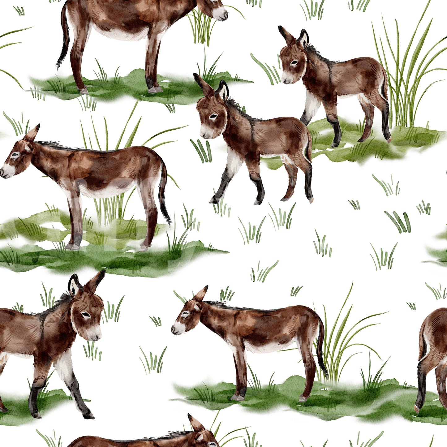Watercolor Donkeys Wallpaper⁠