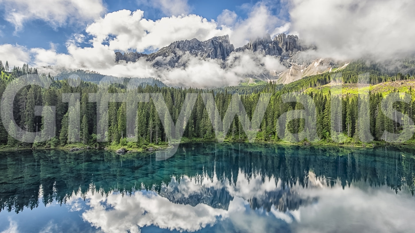 Turquoise Dreamscape Wall Mural