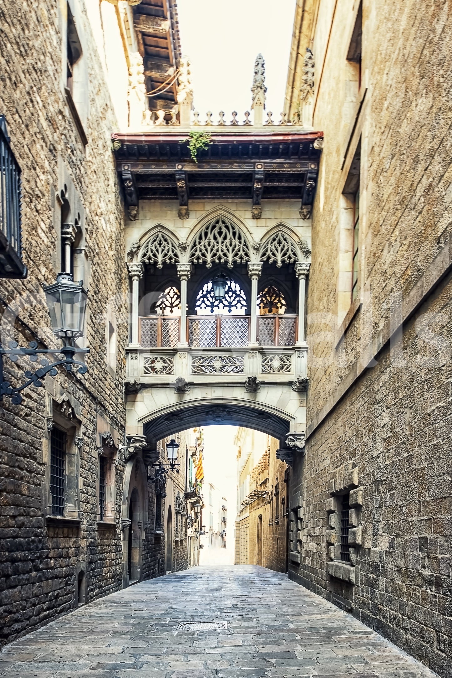 Gothic Quarter Archway Wall Mural