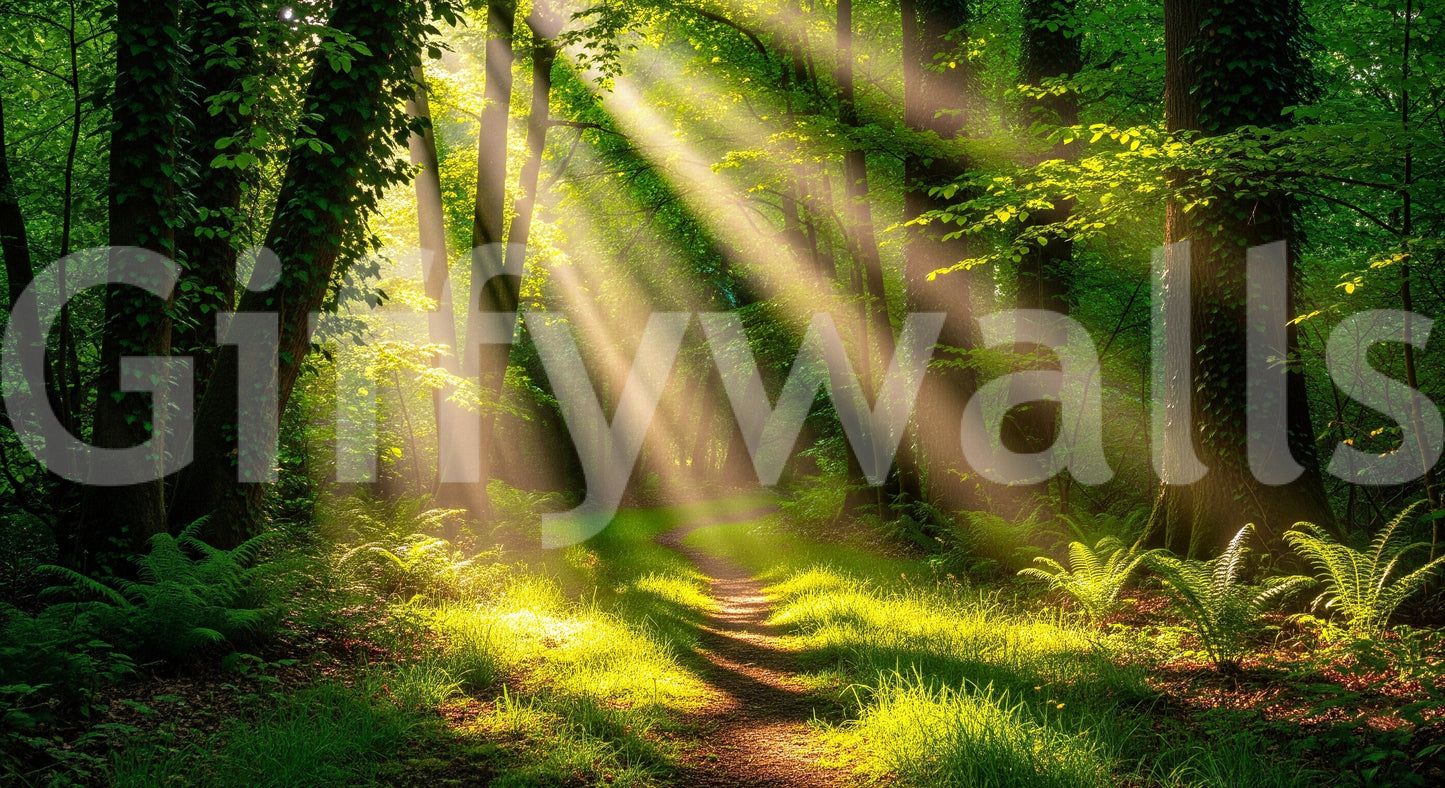 Sunlit Path Wall Mural