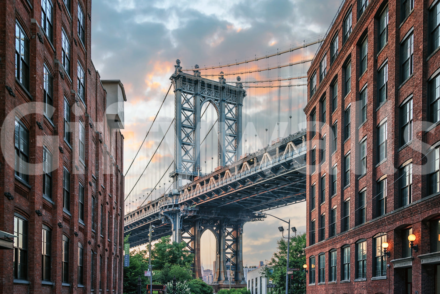 Manhattan Bridge Vista Wall Mural